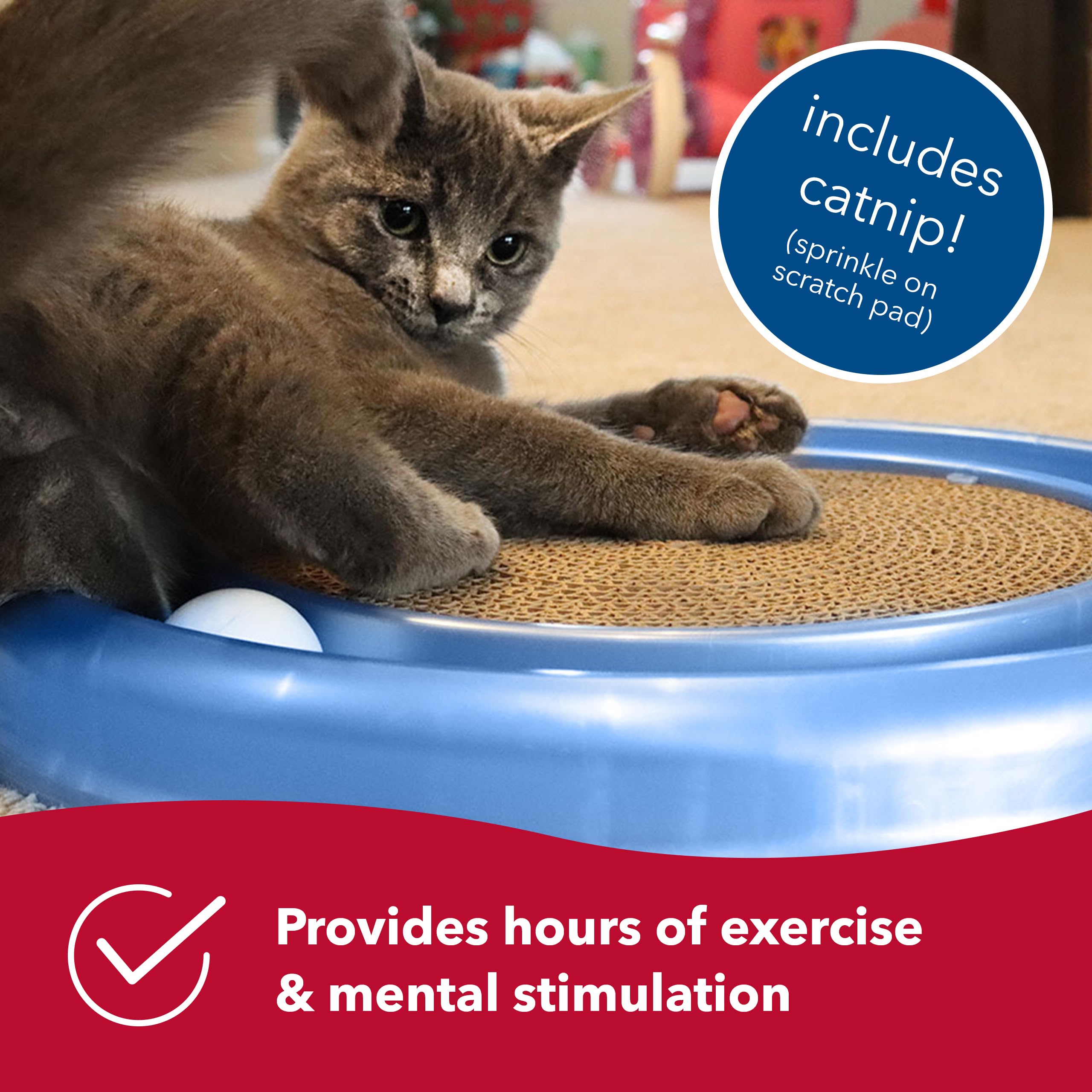 Bergan Coastal Pet Turbo Scratcher catnip included boosts playful energy.