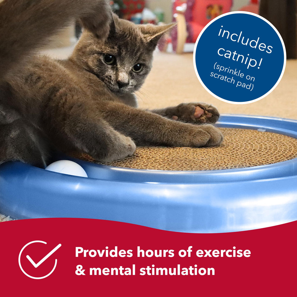 Bergan Coastal Pet Turbo Scratcher catnip included boosts playful energy.