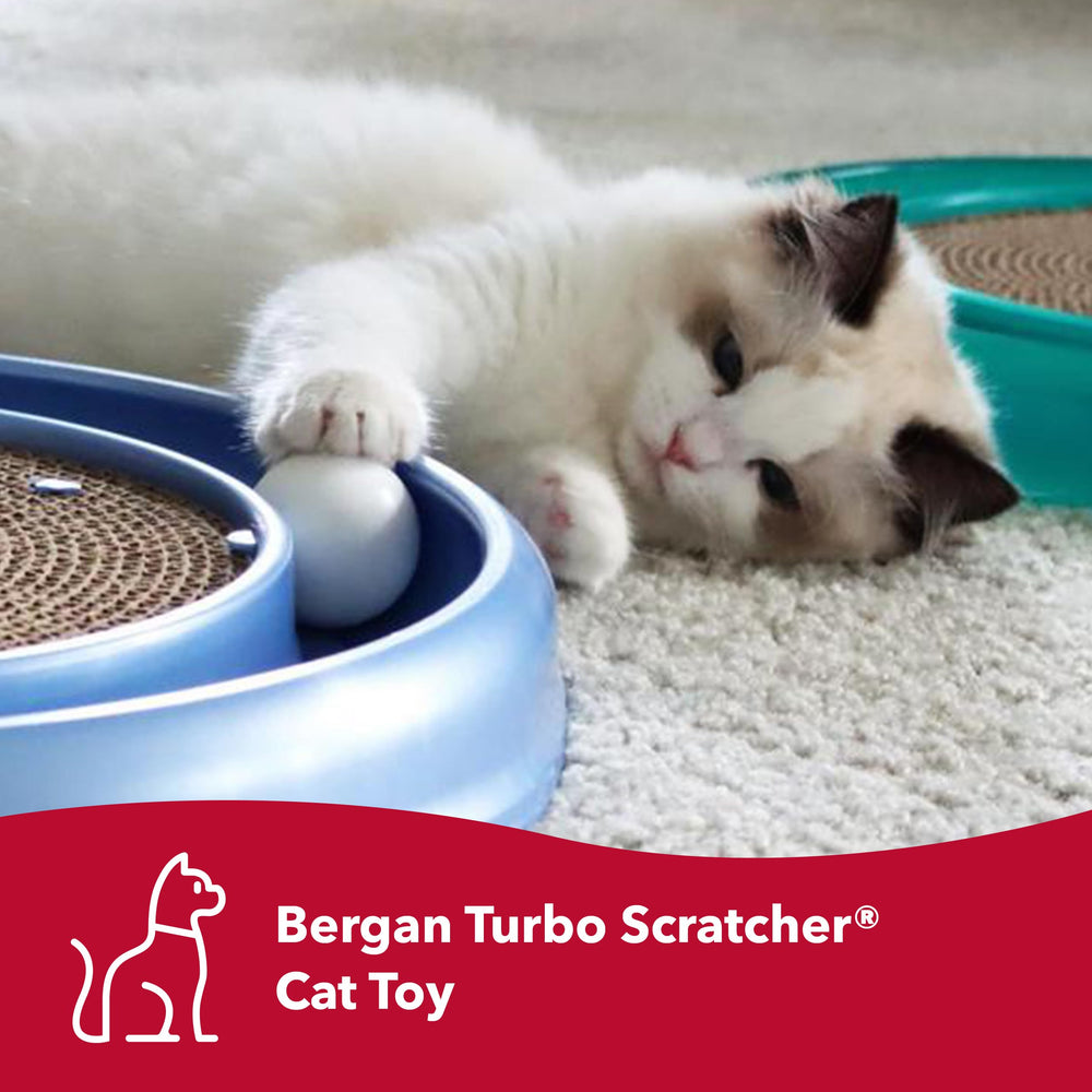 Bergan Coastal Pet Turbo Scratcher circular scratch pad design for engagement.