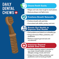 Bernie's Charming Chompers dog-chewing scene demonstrates enjoyable dental routine.