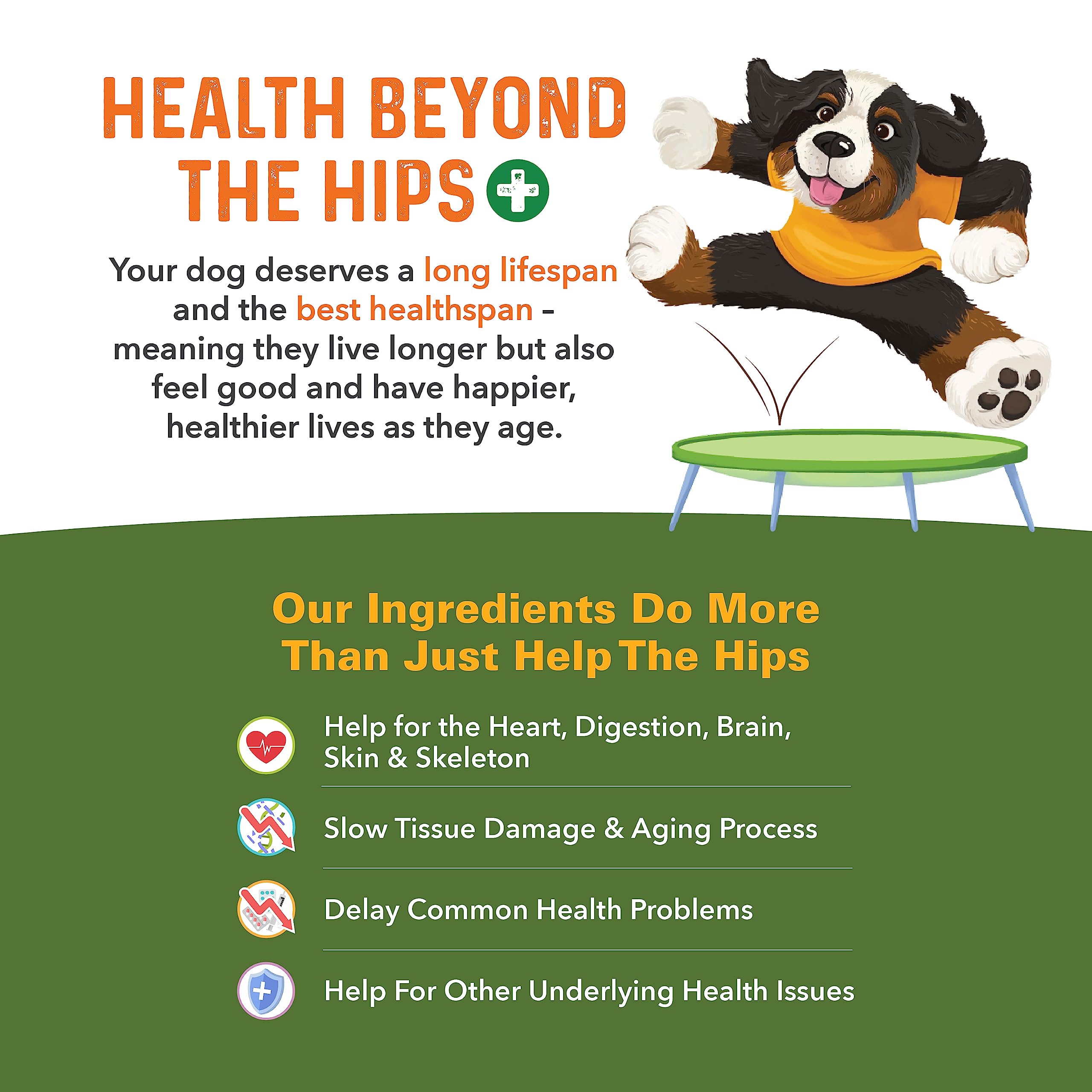 Bernie's Healthy HIPS emphasizes antioxidants and omega-3s for overall vitality.
