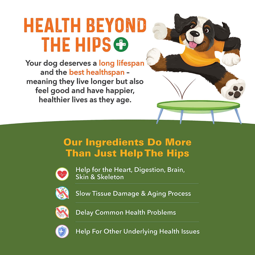Bernie's Healthy HIPS emphasizes antioxidants and omega-3s for overall vitality.