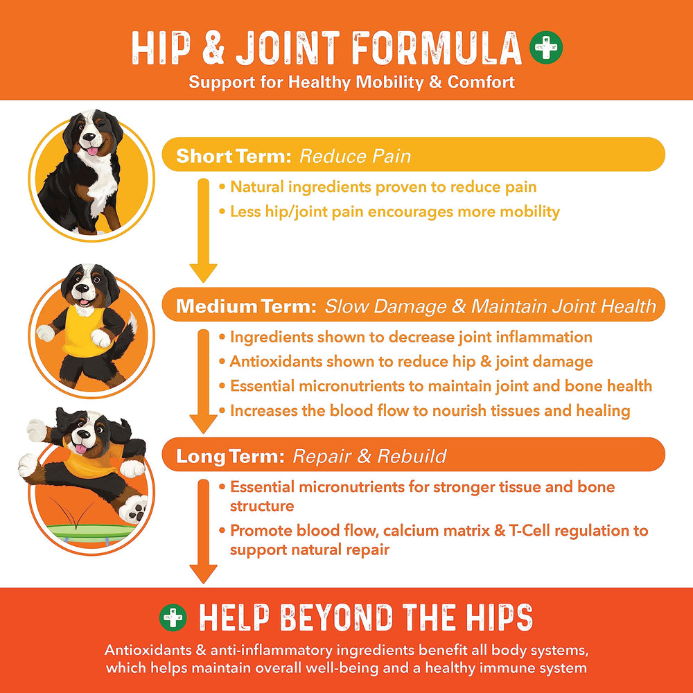 Dog on a walk with Bernie's Healthy HIPS for improved mobility.
