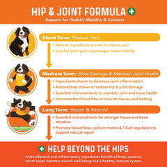 Dog on a walk with Bernie's Healthy HIPS for improved mobility.