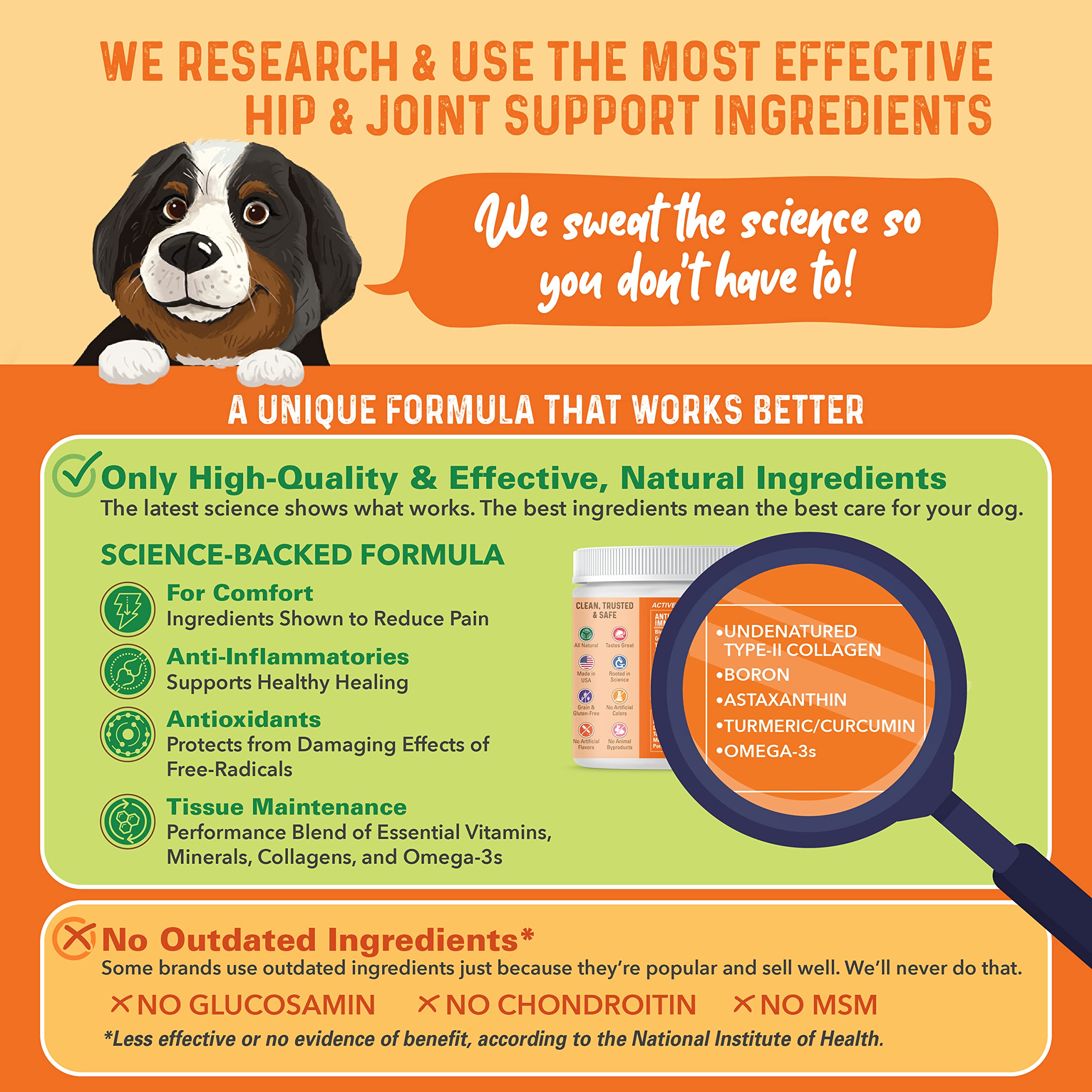 Bernie's Healthy HIPS ingredients list showcasing 16 active ingredients for joint care.