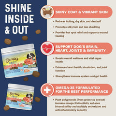 Bernie's OMG Omegas Chews pork flavor closeup; palatable omega boost for picky eaters.