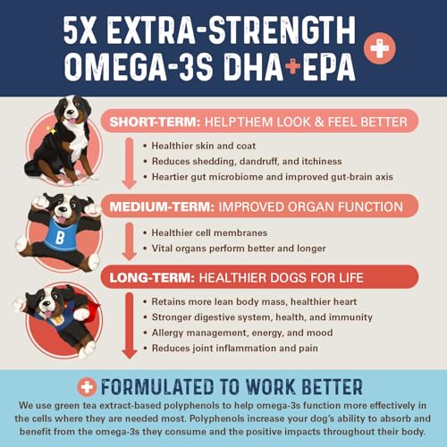 Bernie's OMG Omegas Chews sustainability logo; responsibly sourced ingredients for fish oil.