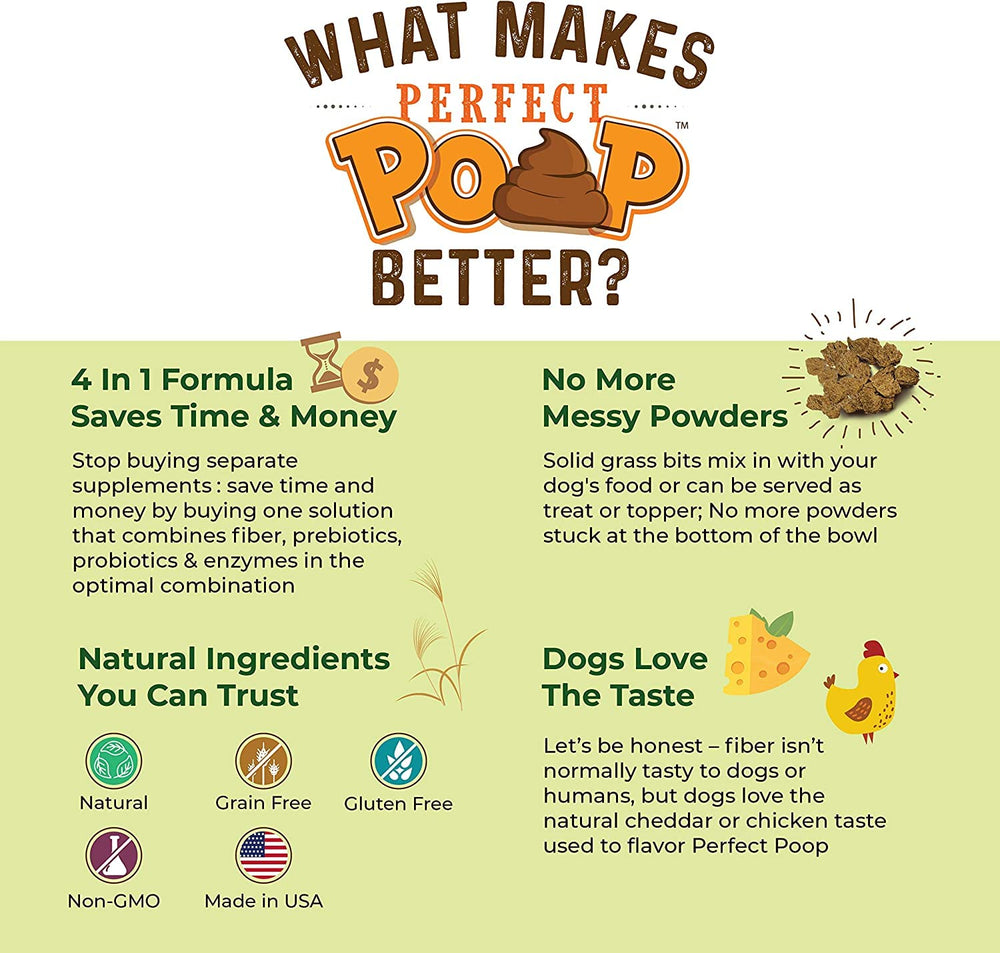 Bernie's Perfect Poop dog-meal-mixing-action demonstrates easy food integration
