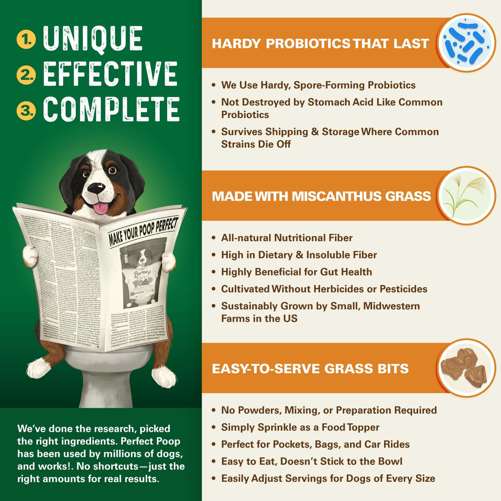 Bernie's Perfect Poop enzimas digestivas que facilitan la descomposición de alimentos