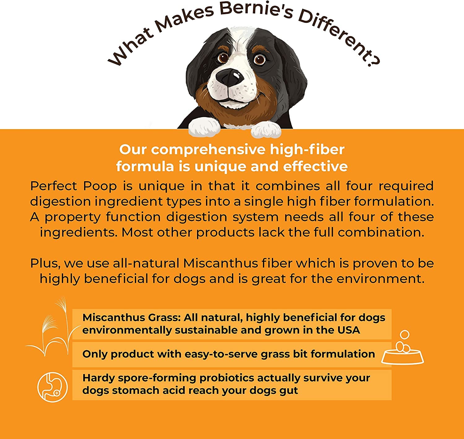 Bernie's Perfect Poop stool-health-illustration conveys potential stool balance improvements