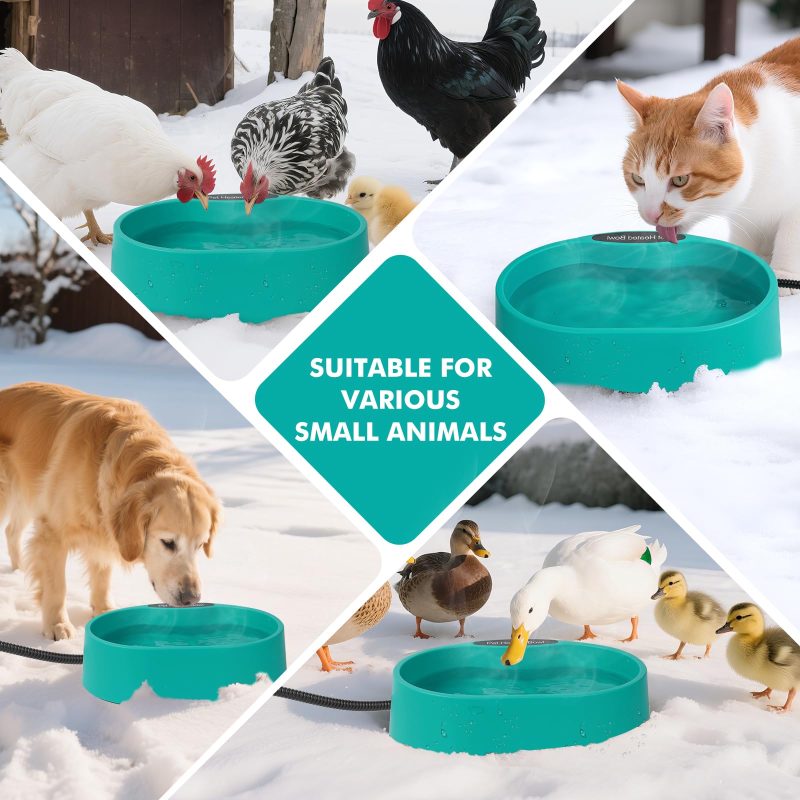 Berverra interference-free design helps pets approach water calmly.