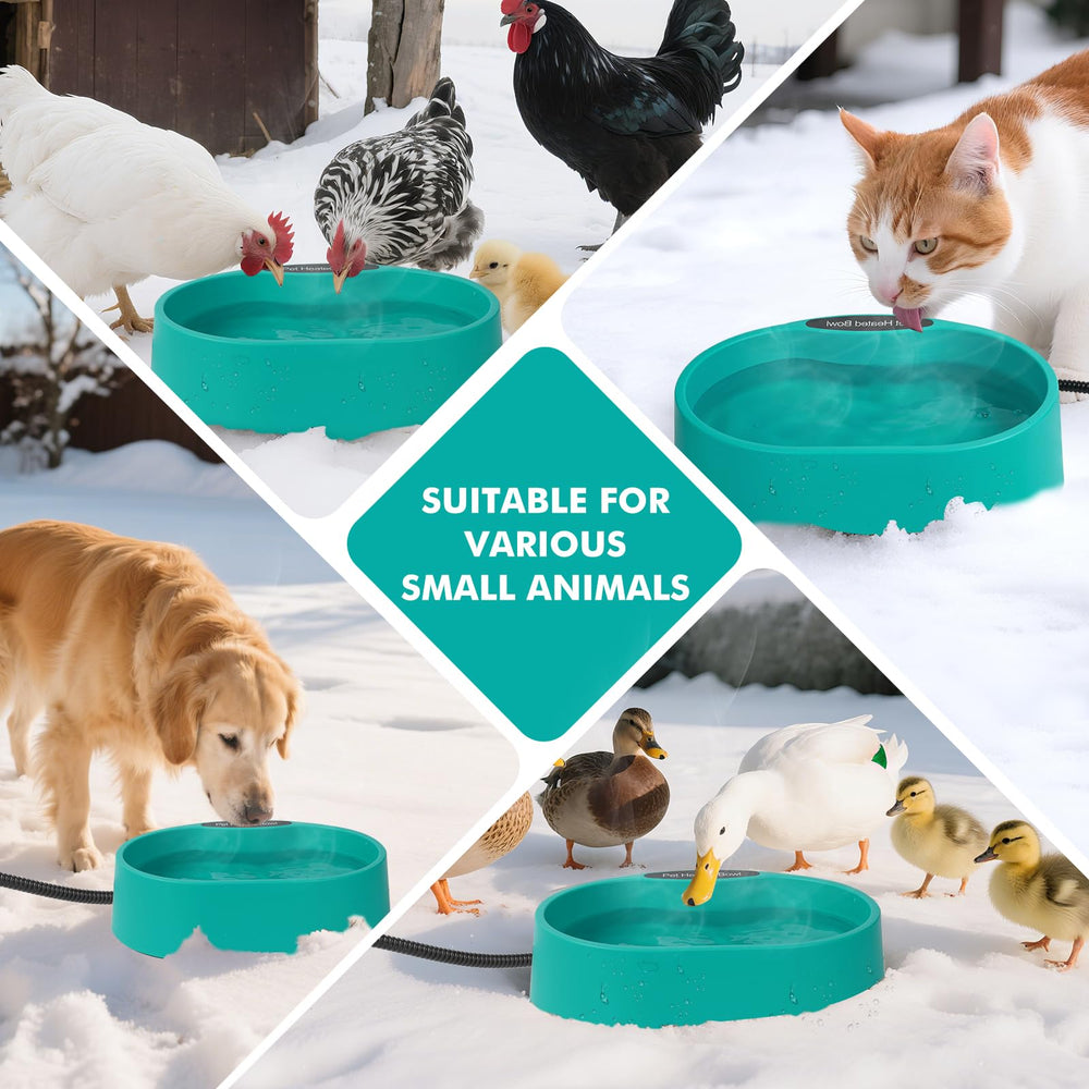 Berverra interference-free design helps pets approach water calmly.