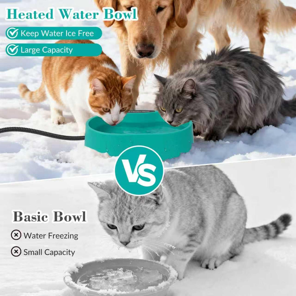 Berverra outdoor pet water setup ensures reliable access to water.