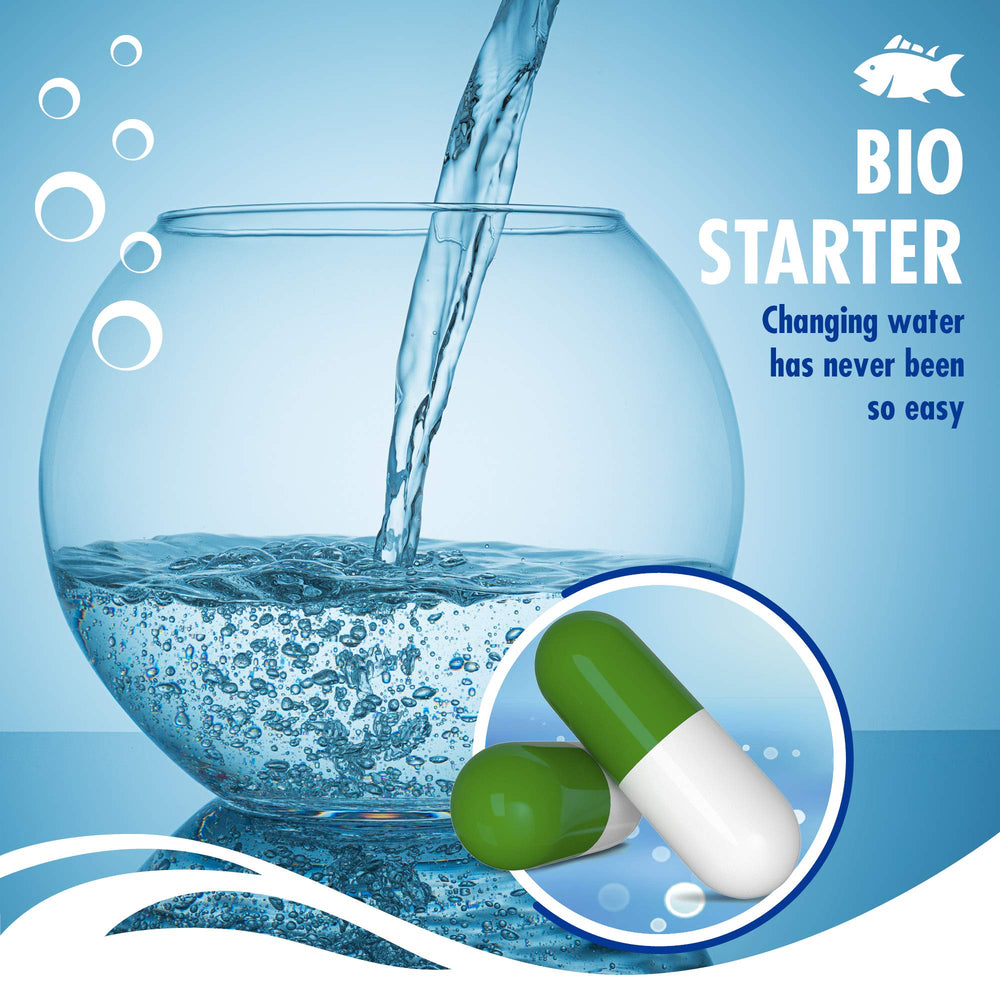Beseder Bio Capsules after treatment water clarity trend helps hobbyists monitor results.