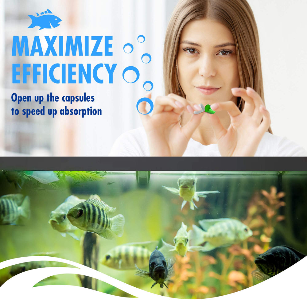 Beseder Bio Capsules for aquarium setup hints at balanced microflora for thriving fish.