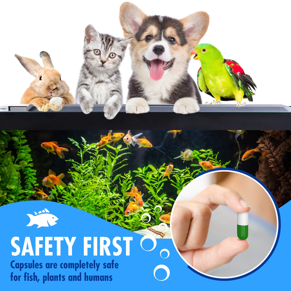 Beseder Bio Capsules in aquarium usage shows improved water clarity during routine maintenance.