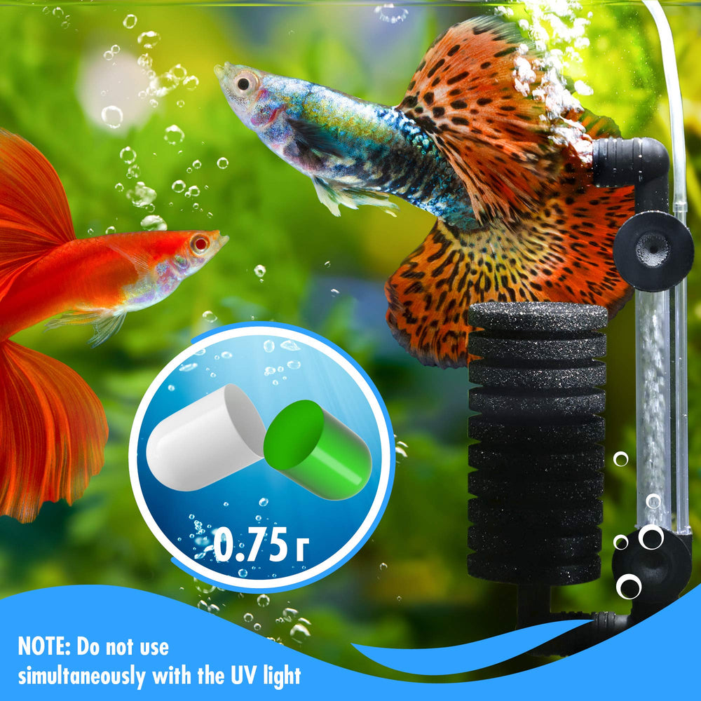 Beseder Bio Capsules dispensing action demonstrates quick addition to the tank for easy maintenance.