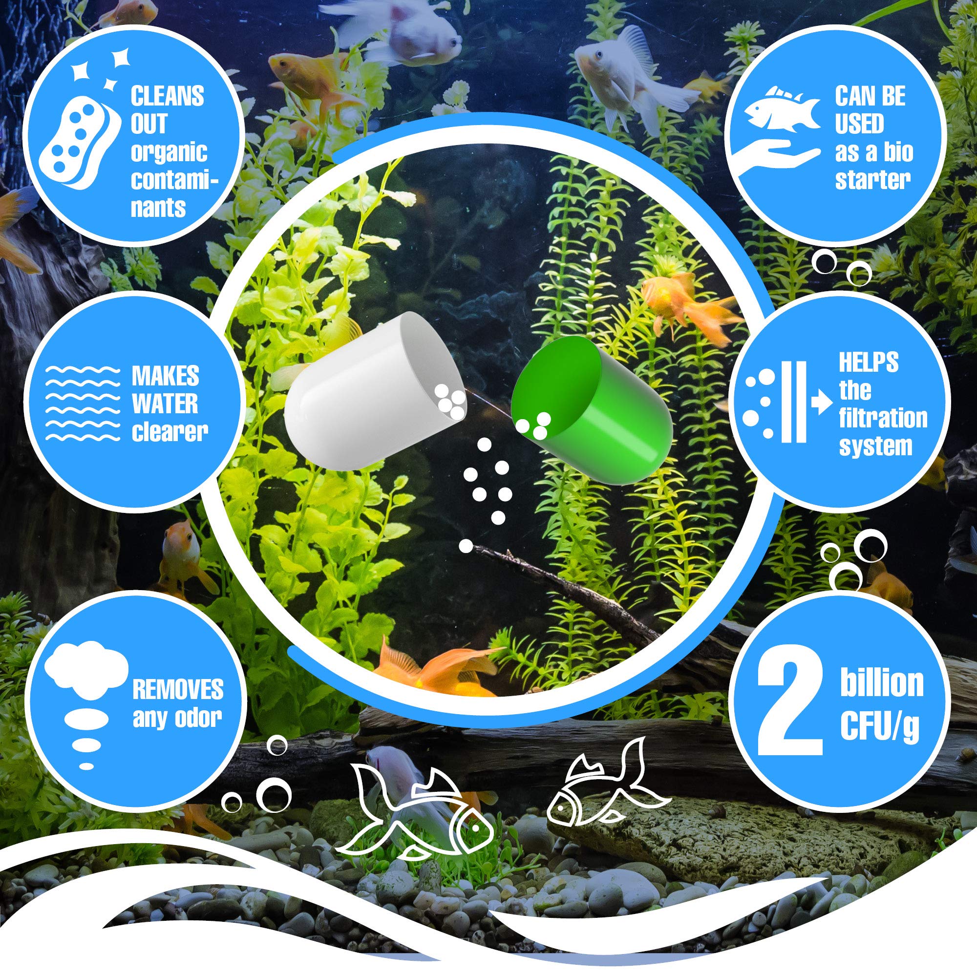 Beseder Bio Capsules jar label highlights easy-to-use aquarium water care.