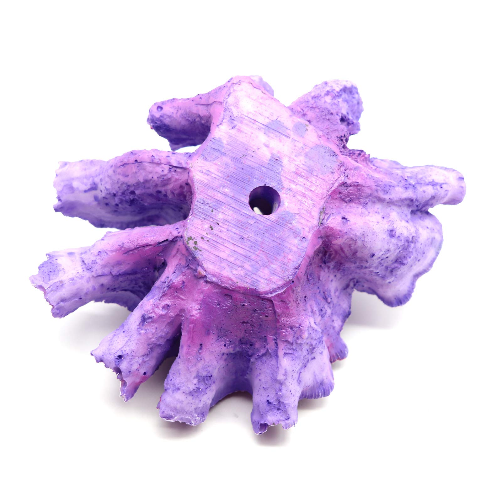 Besimple artificial coral decor purple in tank attracts interest.