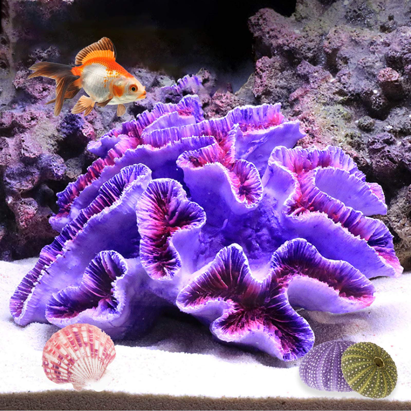 Besimple purple coral ornament in aquarium adds vibrant, fish-friendly decor.