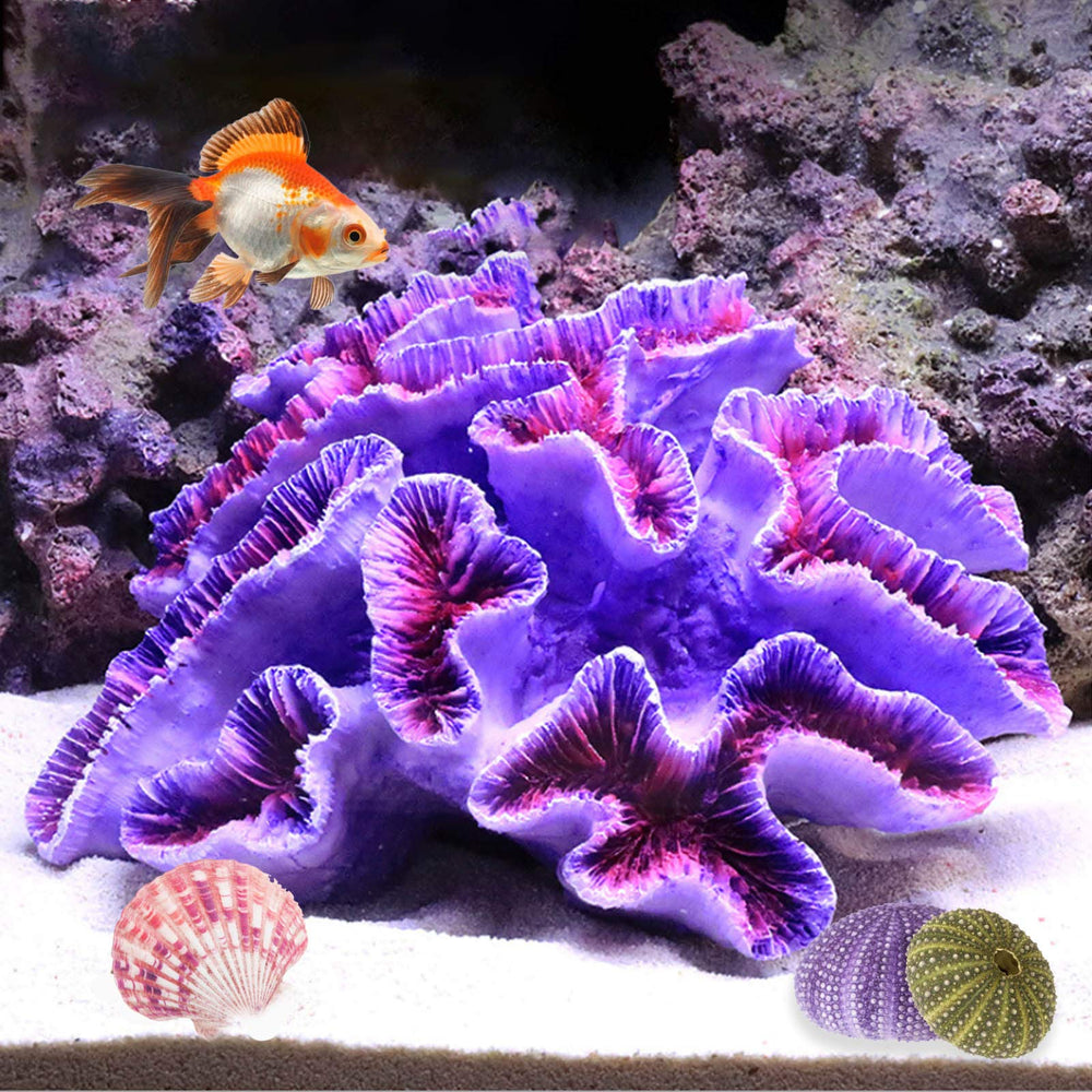 Besimple purple coral ornament in aquarium adds vibrant, fish-friendly decor.