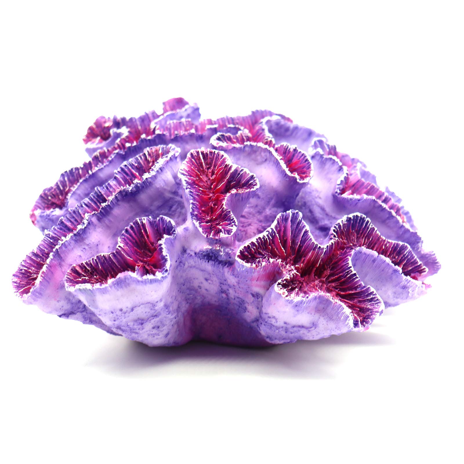 Besimple coral ornament purple in fish tank invites exploration.