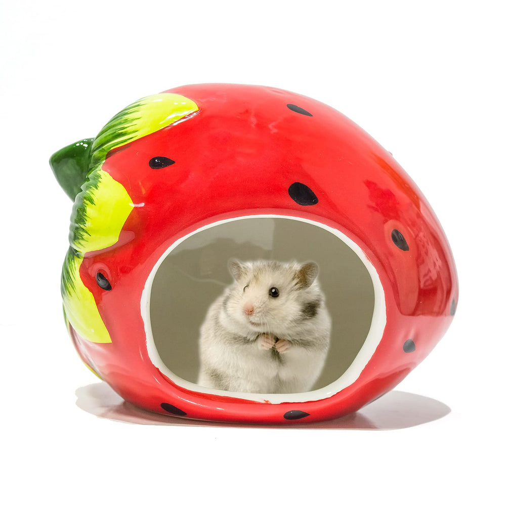 Besimple hamster hideout watermelon shaped ceramic shelter offers a cozy cooling retreat for small pets