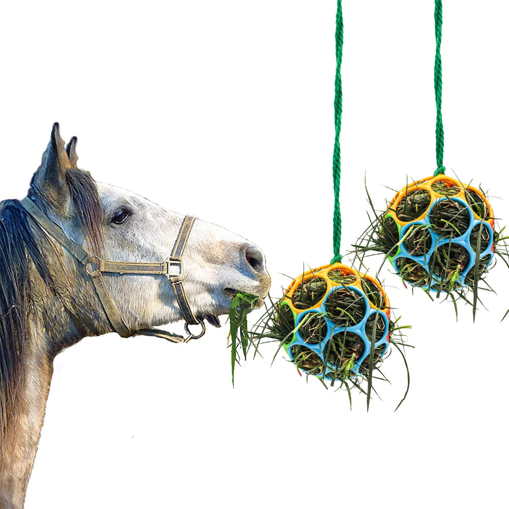 Besimple horse treat ball hanging in stable for entertainment.