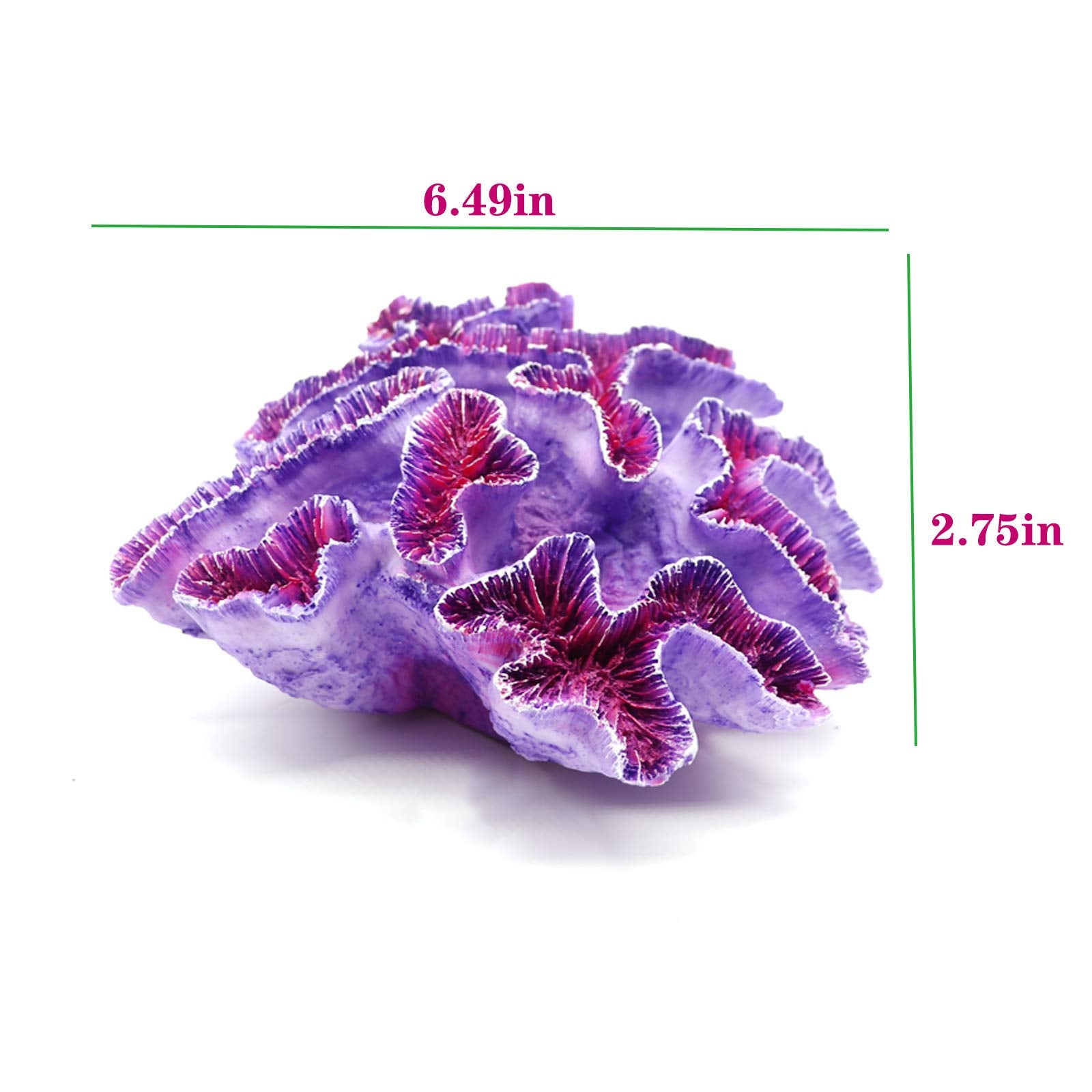 Besimple purple coral ornament in aquascape adds depth.