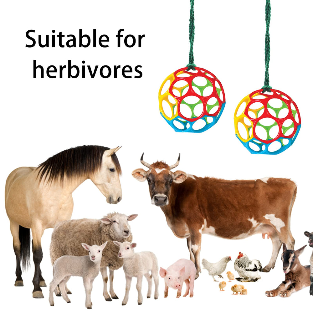 Besimple stable hanging toy setup enhances stall enrichment.