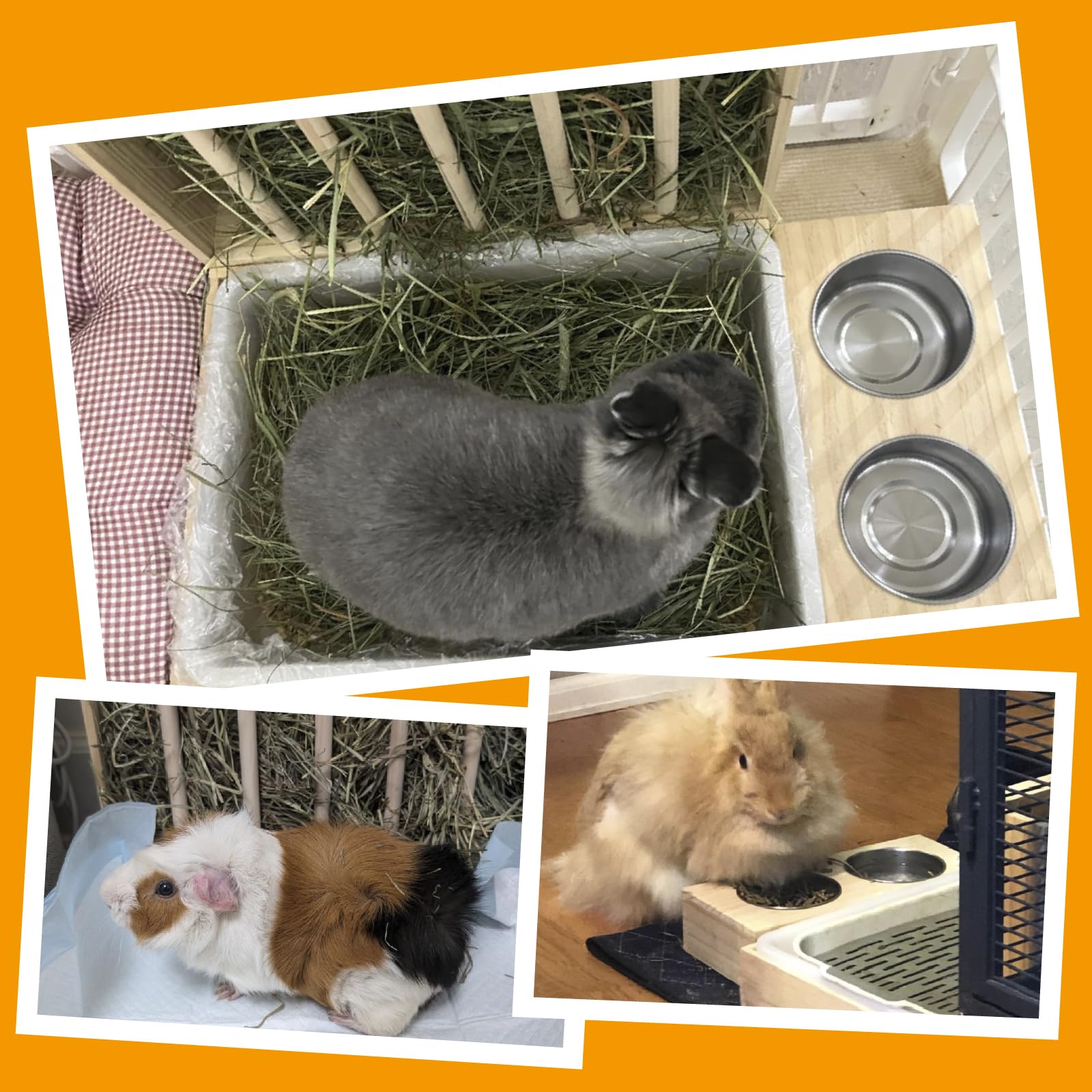 BESNEW quick-clean setup including bag, dustpan, and broom with net frame removal