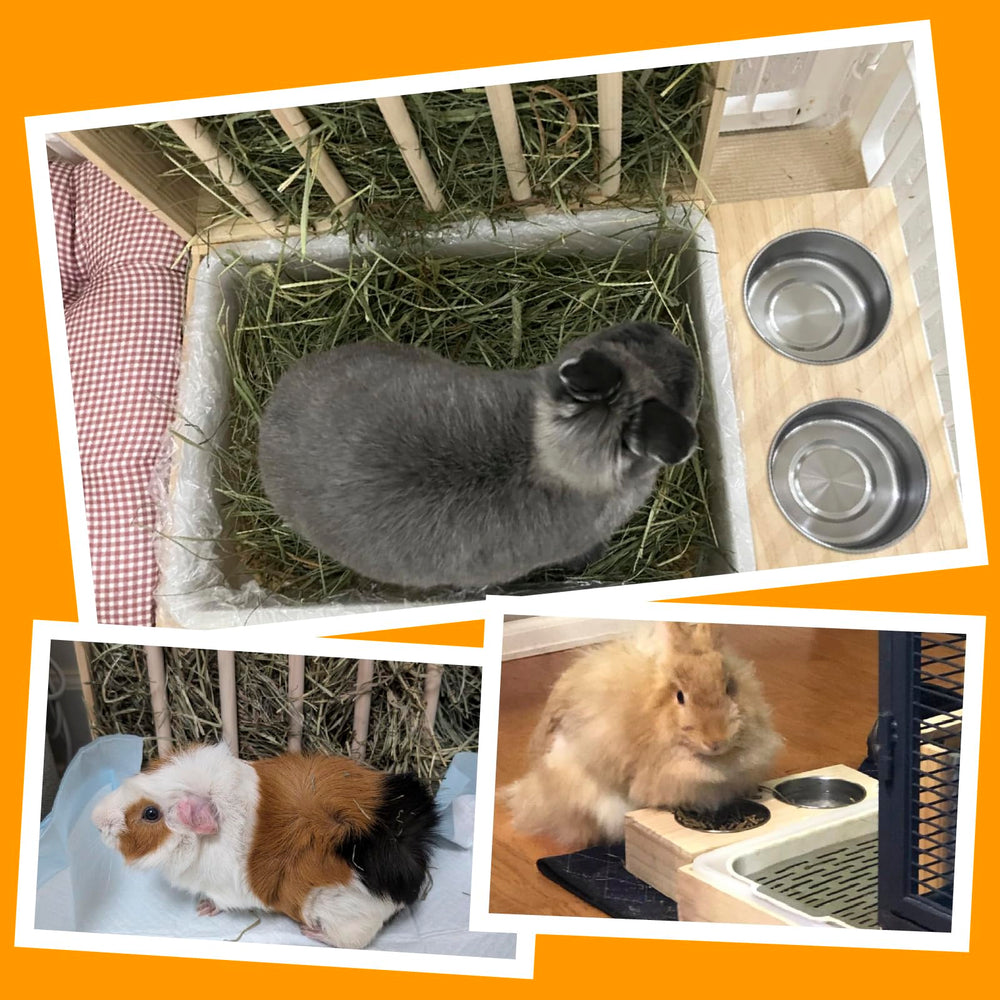 BESNEW quick-clean setup including bag, dustpan, and broom with net frame removal