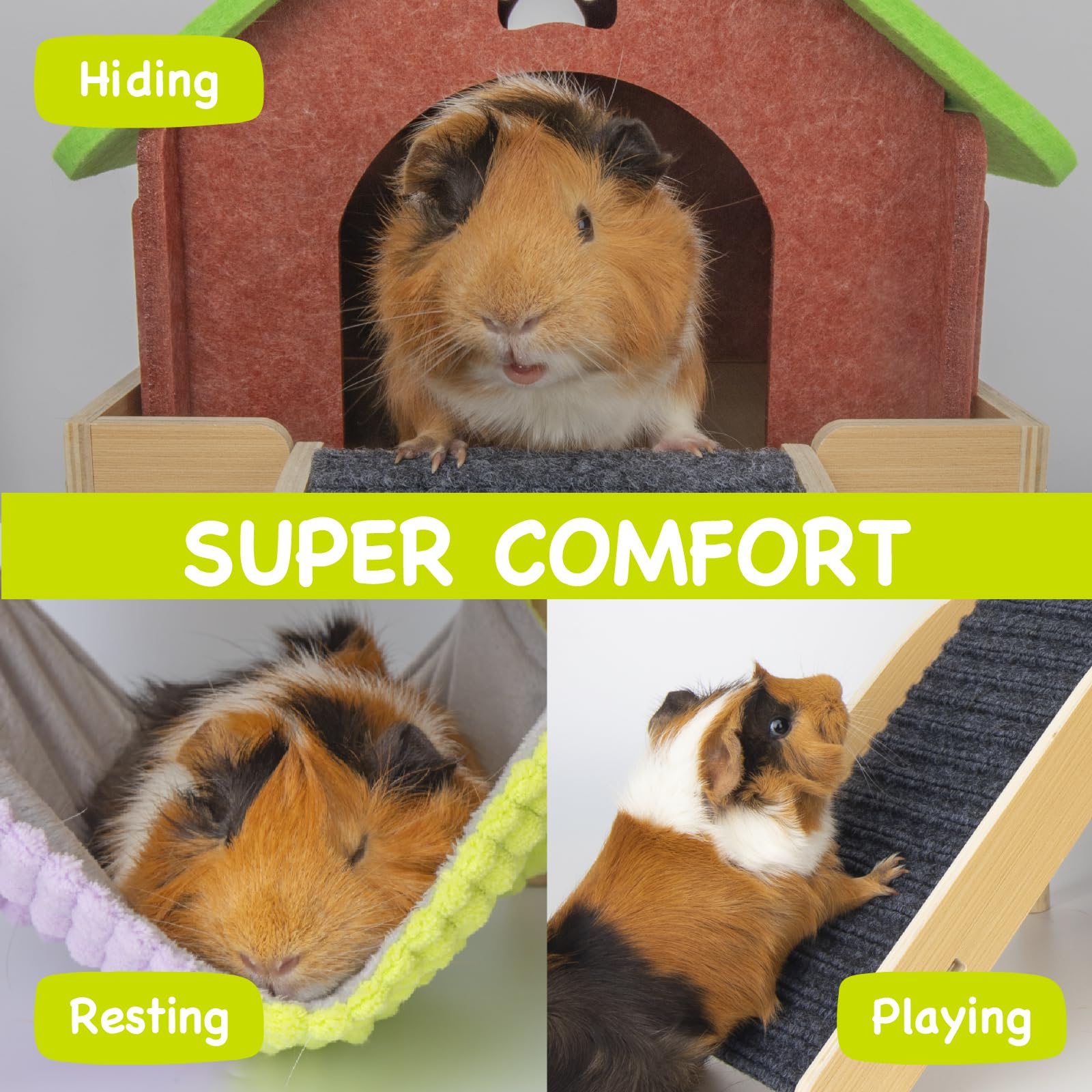 BESNEW guinea pig platform offers elevated view and exploration area