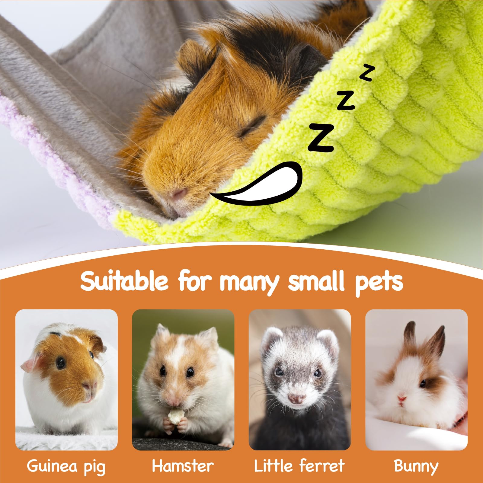 BESNEW easy-assembly guinea pig toy simplifies setup with sturdy hardware.
