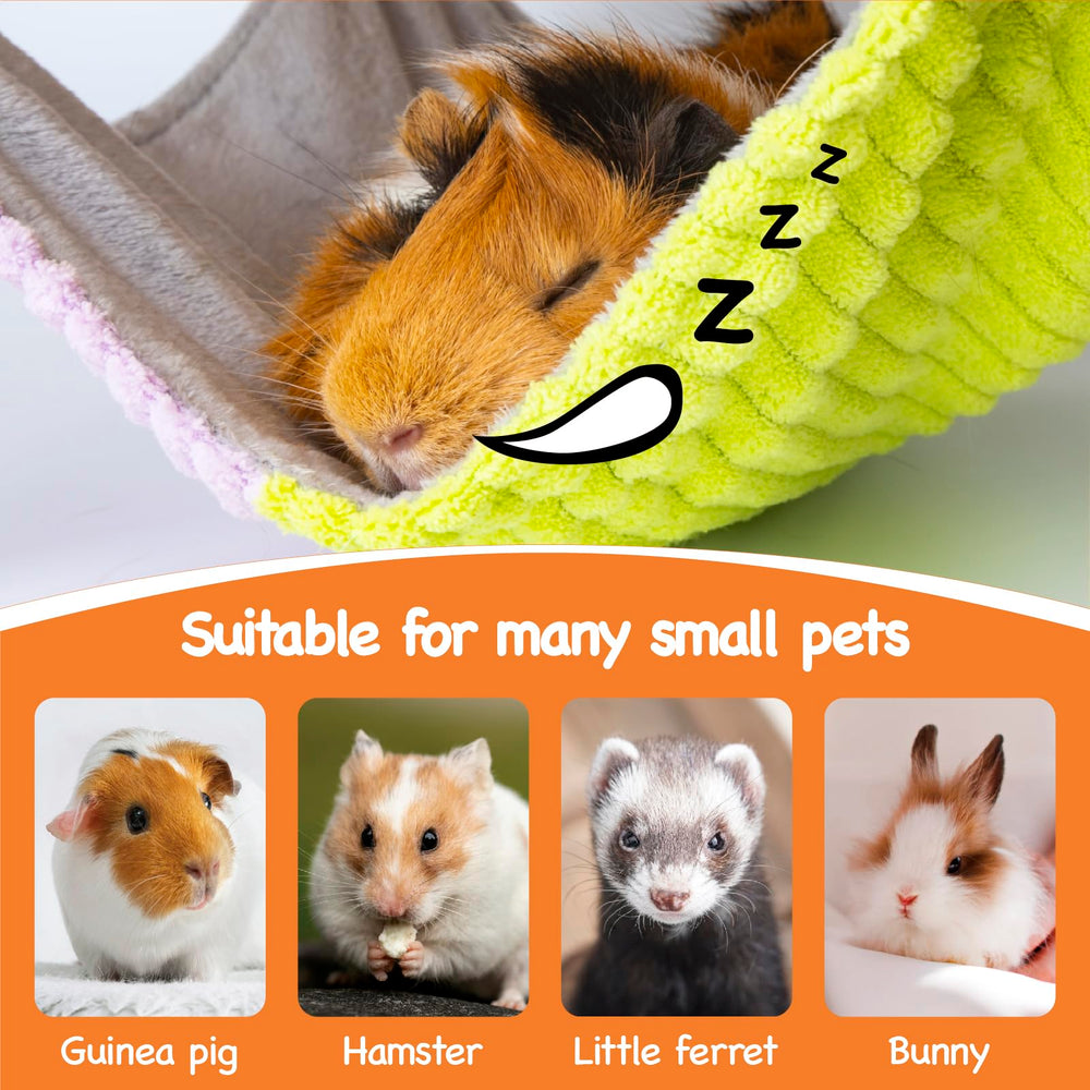 BESNEW easy-assembly guinea pig toy simplifies setup with sturdy hardware.