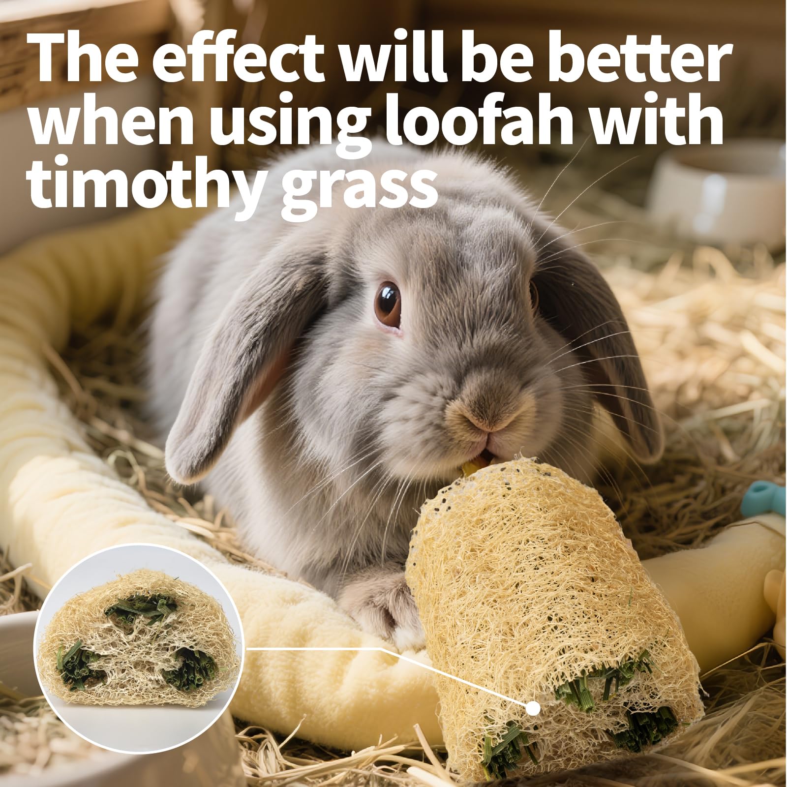 Besnew Eco-Friendly Bunny Toy— sustainable play for pets