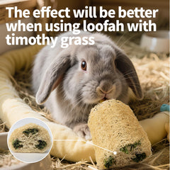 Besnew Eco-Friendly Bunny Toy— sustainable play for pets