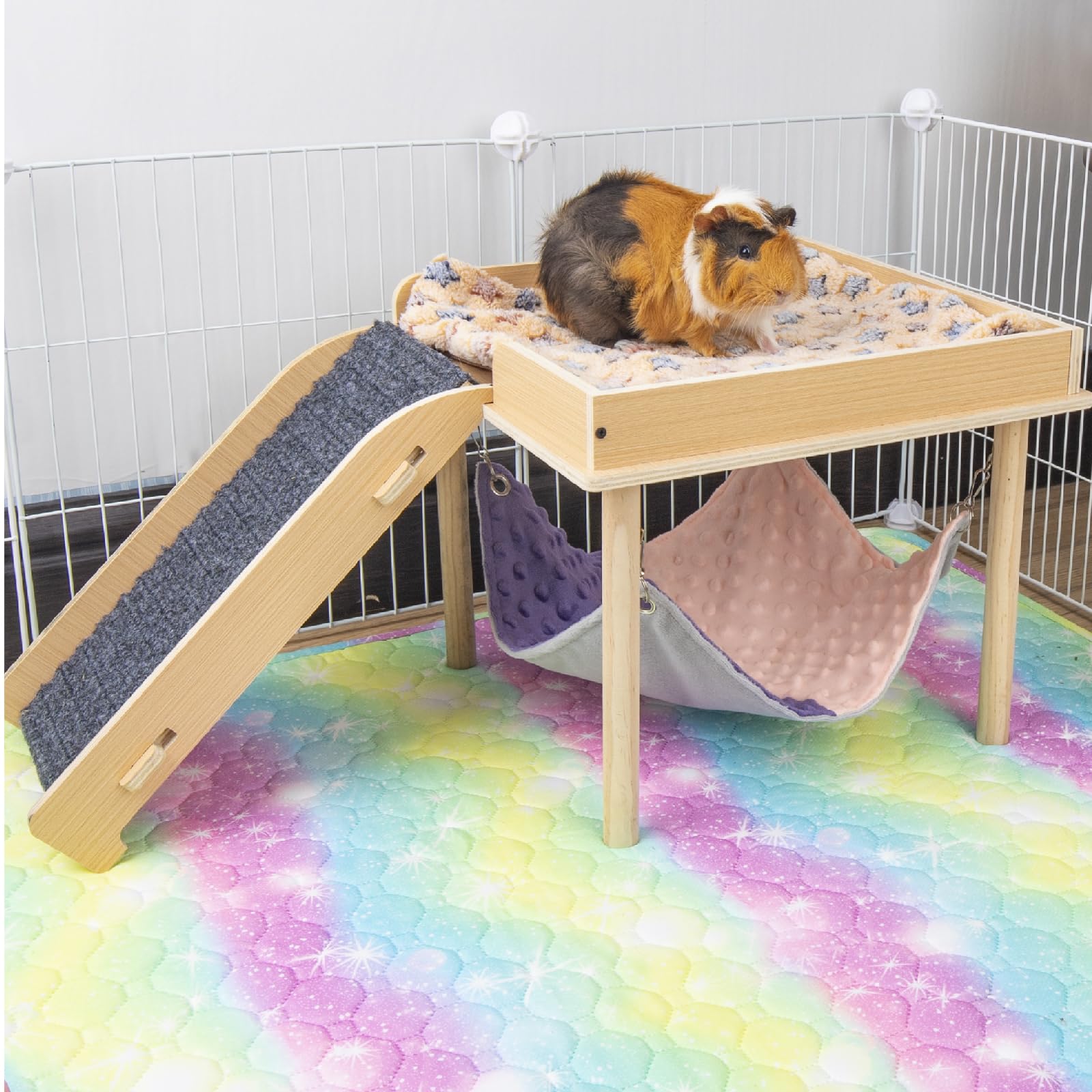 BESNEW active guinea pig enjoys hideout in-use scene.