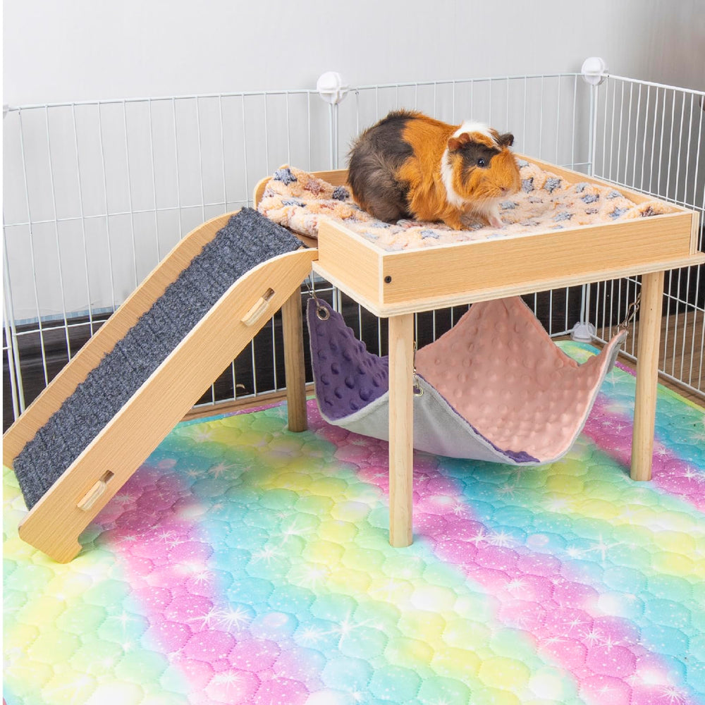 BESNEW active guinea pig enjoys hideout in-use scene.