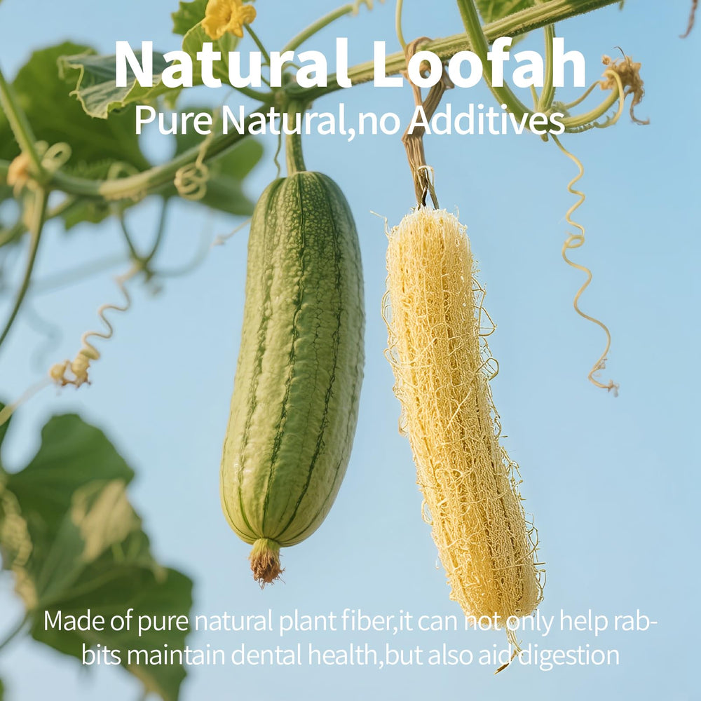 Besnew Fiber-Rich Treat image— fiber-based enrichment for rabbits