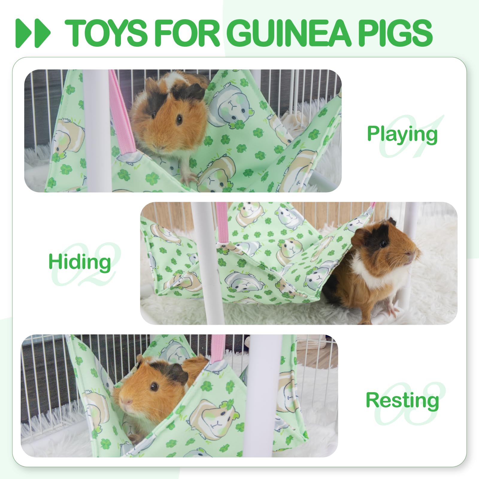 BESNEW guinea pig hammock easy assembly demonstrates quick setup