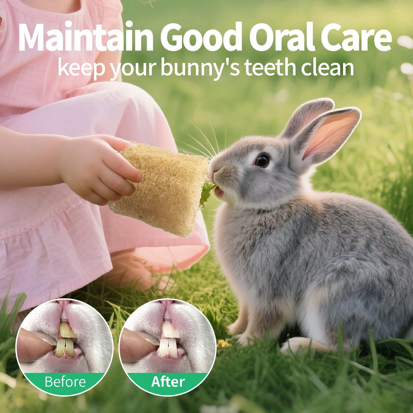 Besnew Pet Brush Toy— doubles as grooming and chewing tool