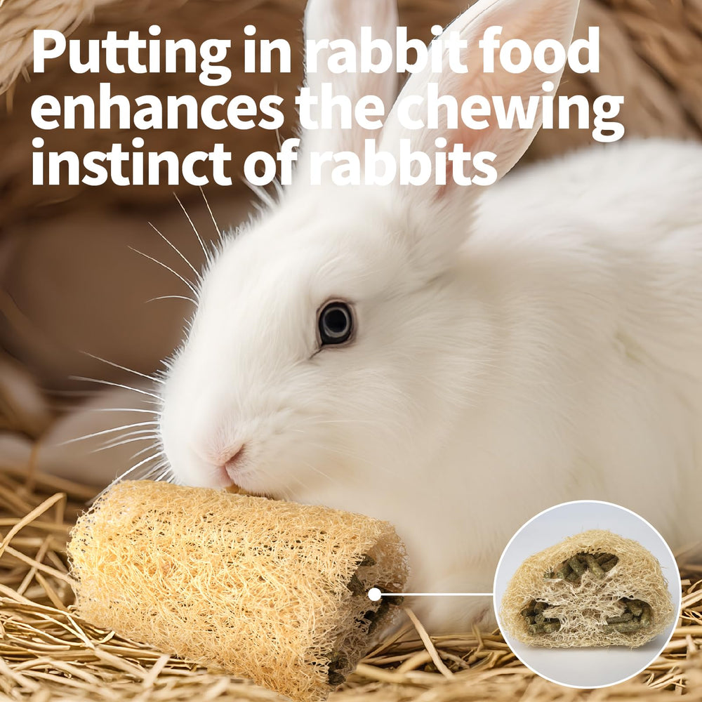 Besnew Rabbit Cage Accessory— chew toy in a cozy habitat