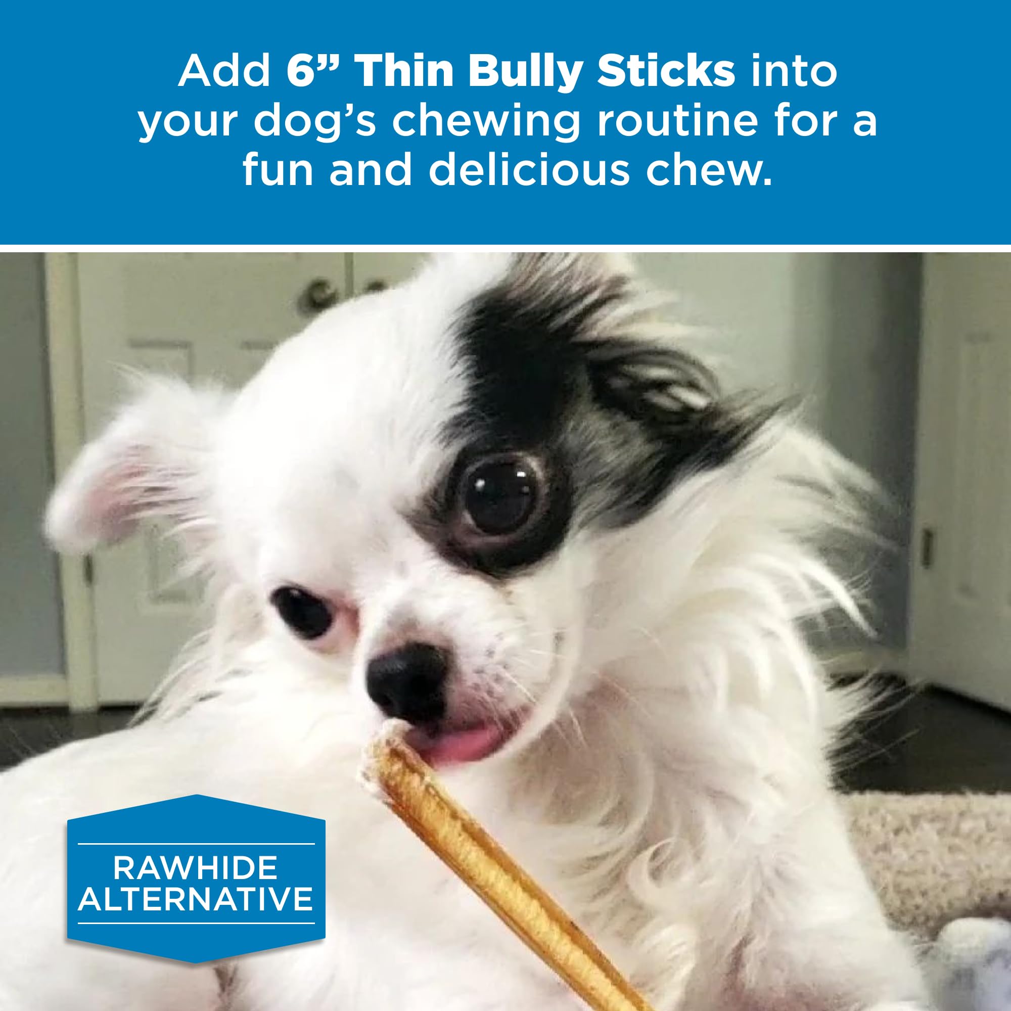 Best Bully Sticks 6 Inch Thin label showing 100% beef, single-ingredient chew