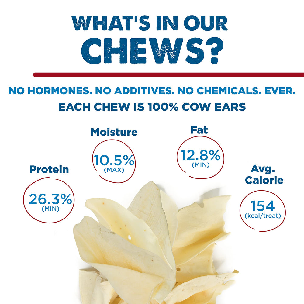 Best Bully Sticks dental-benefits image suggests oral hygiene through chewing action