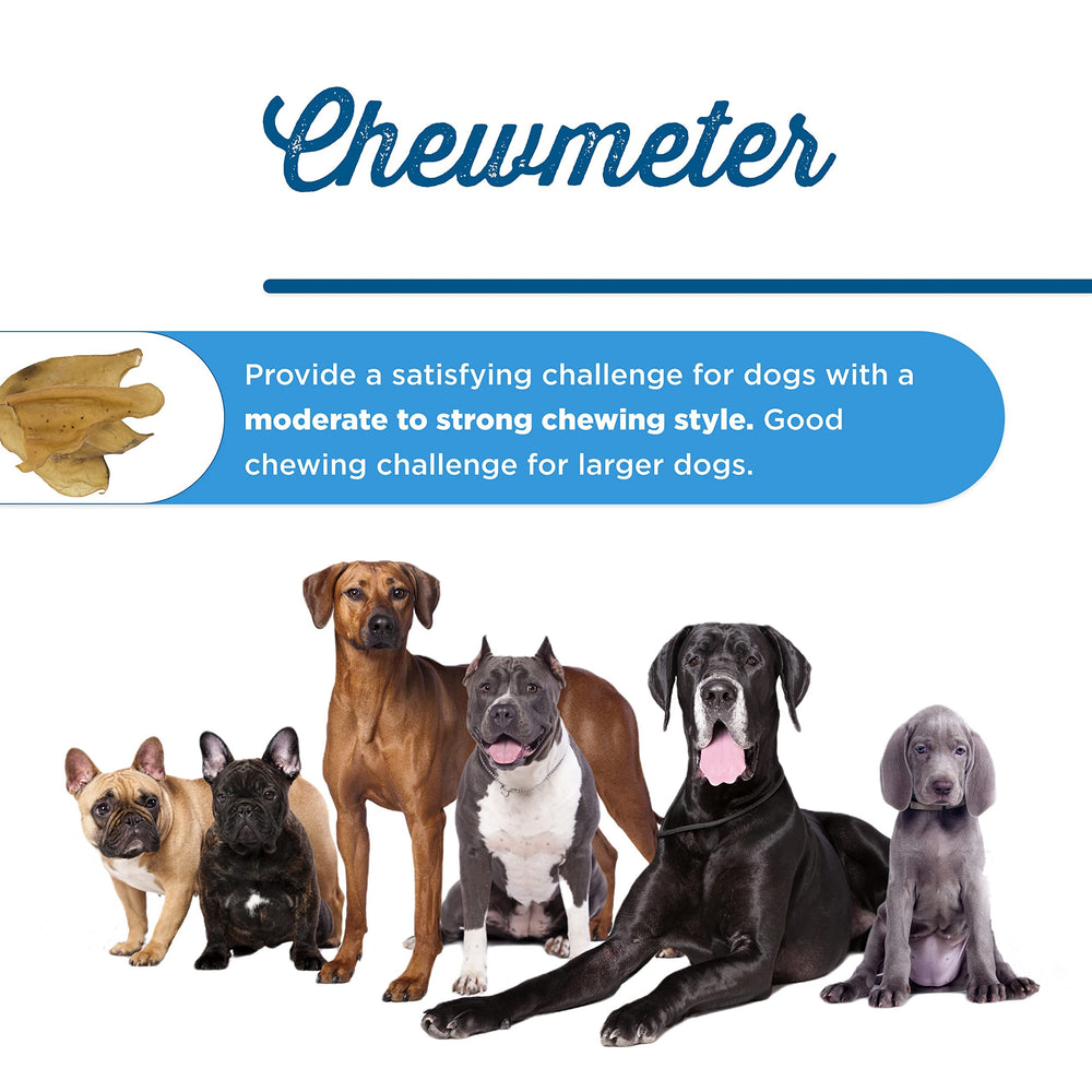 Best Bully Sticks cow ears long-lasting chew—great for training rewards