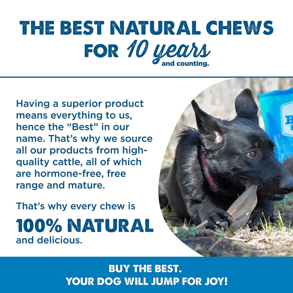 Best Bully Sticks cow ears safe and digestible—no splinters vs rawhide