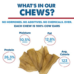 Best Bully Sticks cow ears texture close-up—durable surface for hearty chewers