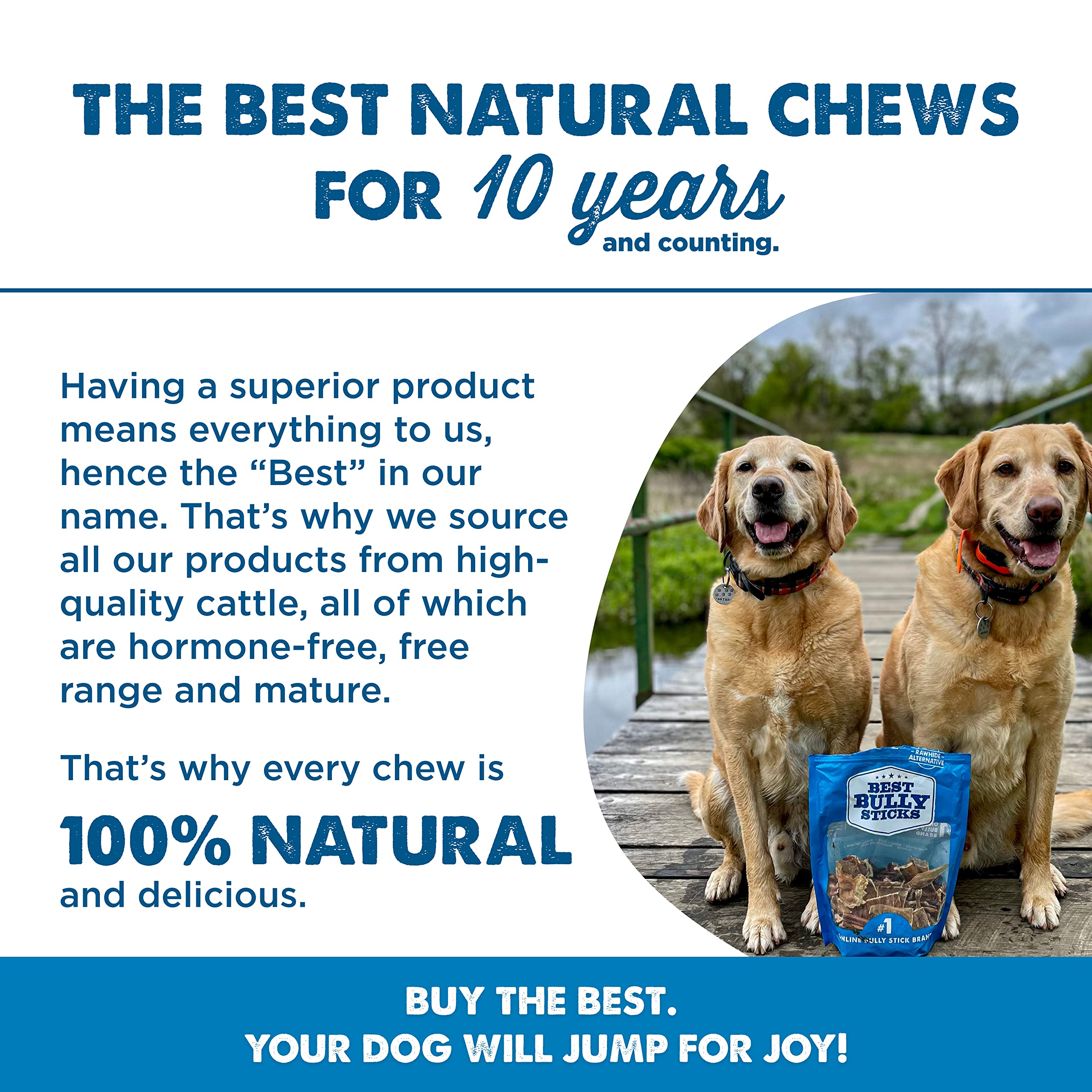 Best Bully Sticks rawhide-free chews for safer, hormone-free dog treats.