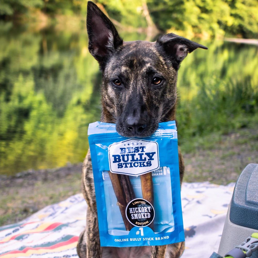 Best Bully Sticks dental-health focused chew may reduce plaque buildup.